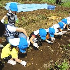 サンフィール保育園の写真3