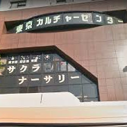 サクラ　ナーサリー
