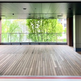 ドルフィン・グレースこども園 杜の街