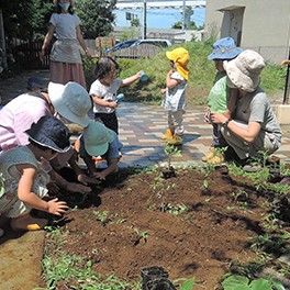 東京賢治シュタイナー学校つめくさ保育園の写真3
