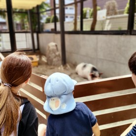 カメリアキッズ国領園