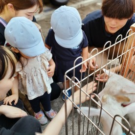 カメリアキッズ下丸子園