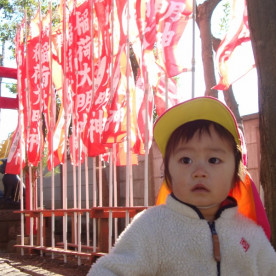 もりのなかま保育園　東砂ひよこ園の写真4