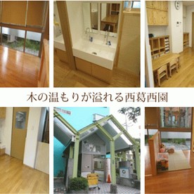 stellar education garden 西葛西保育園