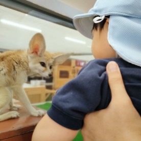 カメリアキッズ　経堂園