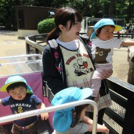 りとるうぃず赤羽志茂保育園の写真2