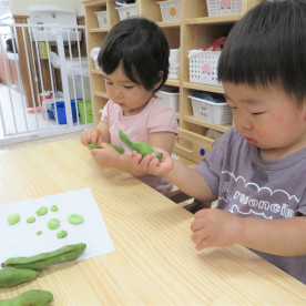 おれんじオハナ西葛西保育園の写真3
