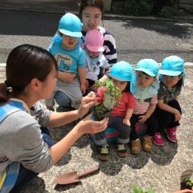 みやさか保育園