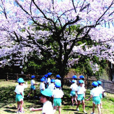 なみのり第二保育園の写真4