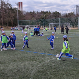 バディスポーツ幼児園豊洲の写真5