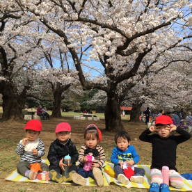 Aｉ保育園　赤塚の写真2