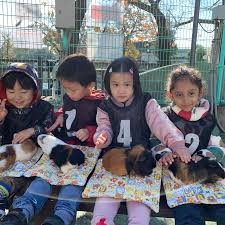 Ａｙｌａ　Ｉｎｔｅｒｎａｔｉｏｎａｌ　Ｓｃｈｏｏｌ（ｱｲﾗ　ｲﾝﾀｰﾅｼｮﾅﾙｽｸｰﾙ）の写真3