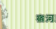 宿河原幼稚園