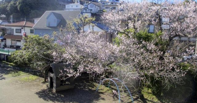 まぼり幼稚園