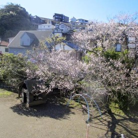 まぼり幼稚園