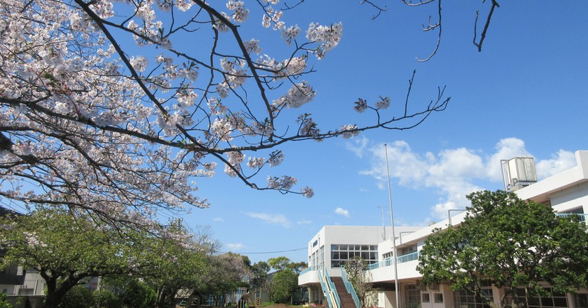 まぼり幼稚園