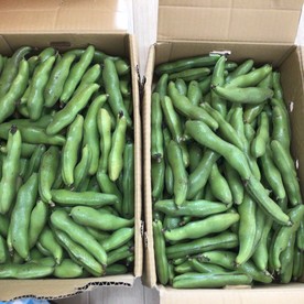 ひまわり中山町保育園(企業主導型保育事業)