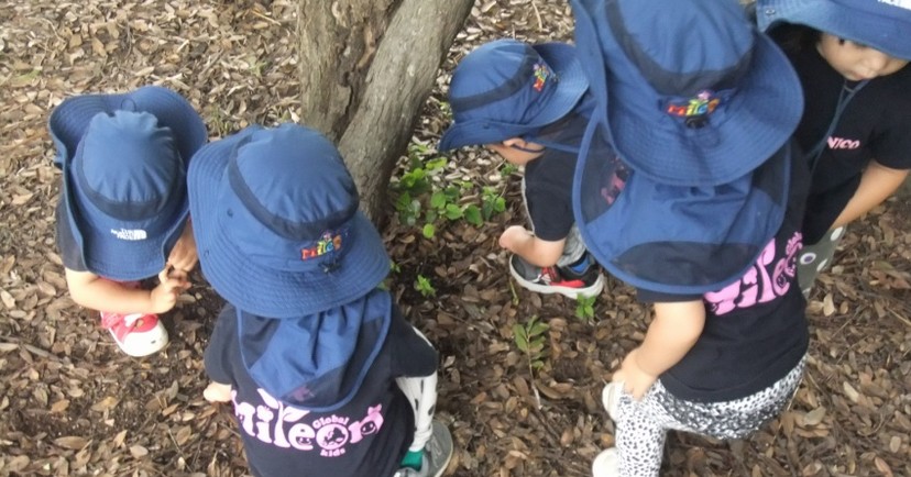 Mileon Global Kids