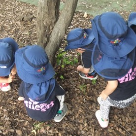 Mileon Global Kidsの写真3