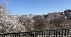 こすもす保育園