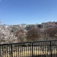 こすもす保育園の写真2
