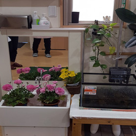 にじいろ保育園大泉学園南の写真2