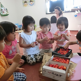 南町田みつたま保育園の写真5