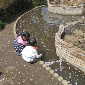 幼児保育施設どんぐりころころの写真3