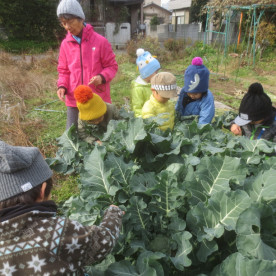 幼児保育施設どんぐりころころの写真4