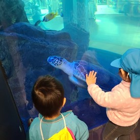 テンポイントキッズTENPOINTKIDSの写真2