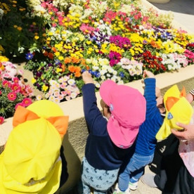 にこりんこルームの写真4