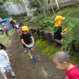 世田谷はっと保育園の写真5
