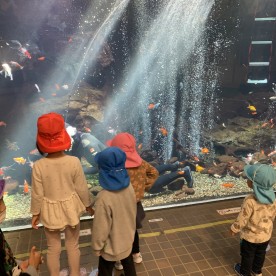 この木なんの木園の写真11