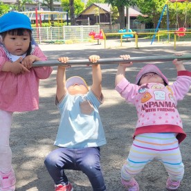 この木なんの木園の写真22