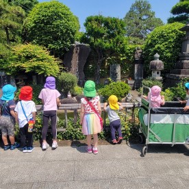 この木なんの木園の写真17