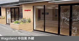 Wagoland International School