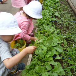 東京友の会　世田谷幼児生活団の写真5