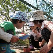 上馬保育園の写真4