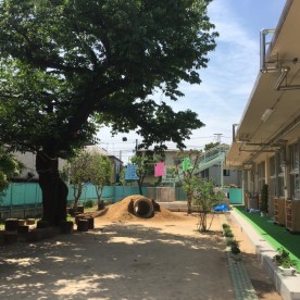 杉並ひまわり保育園