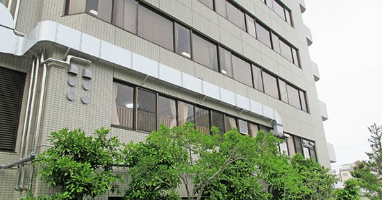 太陽の子 中野桜花保育園