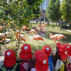 きんし保育園の写真5