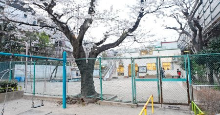 青柳保育園