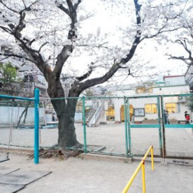 青柳保育園の写真2