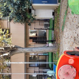 うさぎ野原の保育園の写真3