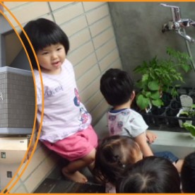 第２フォーマミー保育園の写真2