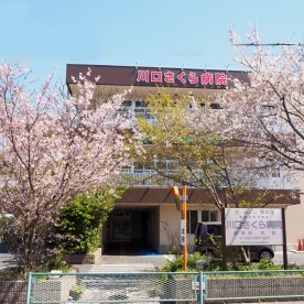 川口わんぱく保育園の写真2