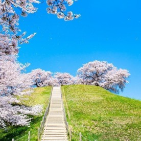 きらめきの森保育園