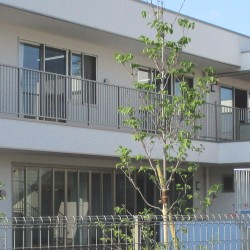 第二所沢元氣保育園の写真2