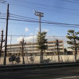 加須市立大桑幼稚園の写真2