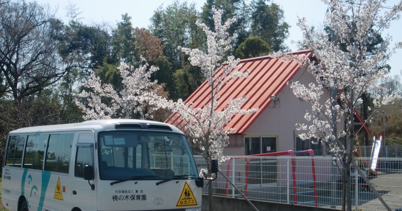 桃の木保育園